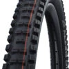 Schwalbe Big Betty Evo Super Ground 24x2,40" Addix Soft E-50 Pneus Pliants