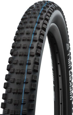 Schwalbe Pneu Pliant Wicked Will Evo Super Ground 29x2,25" Addix SpeedGrip E-50
